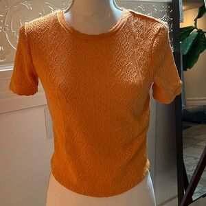 Zara knit short sleeve crop top crew neck  size Med New